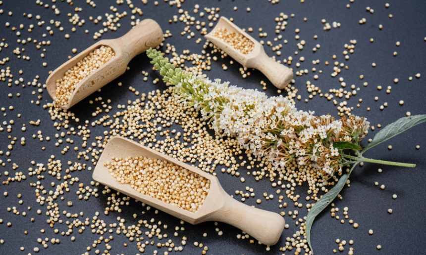 Quinoa: A Complete Protein Source